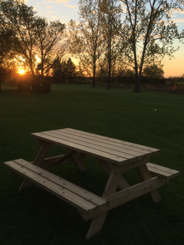 Picnic Table