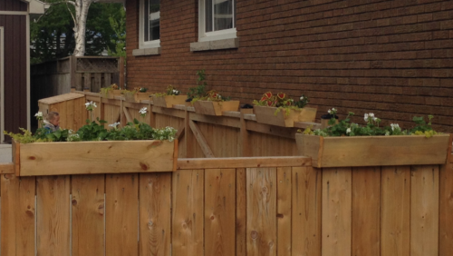 Fence Planter Boxes